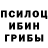 Псилоцибиновые грибы мухоморы Robert Chomaev