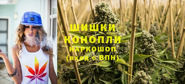сатива Аркадак