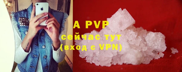 сатива Аркадак
