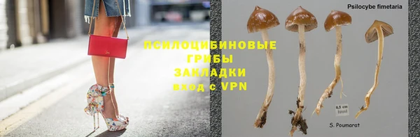 спиды Протвино