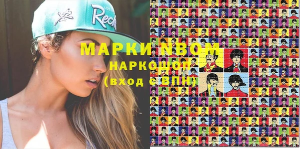 сатива Аркадак