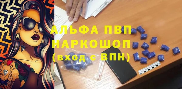 прущие грибы Армянск