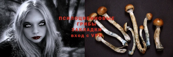 прущие грибы Армянск